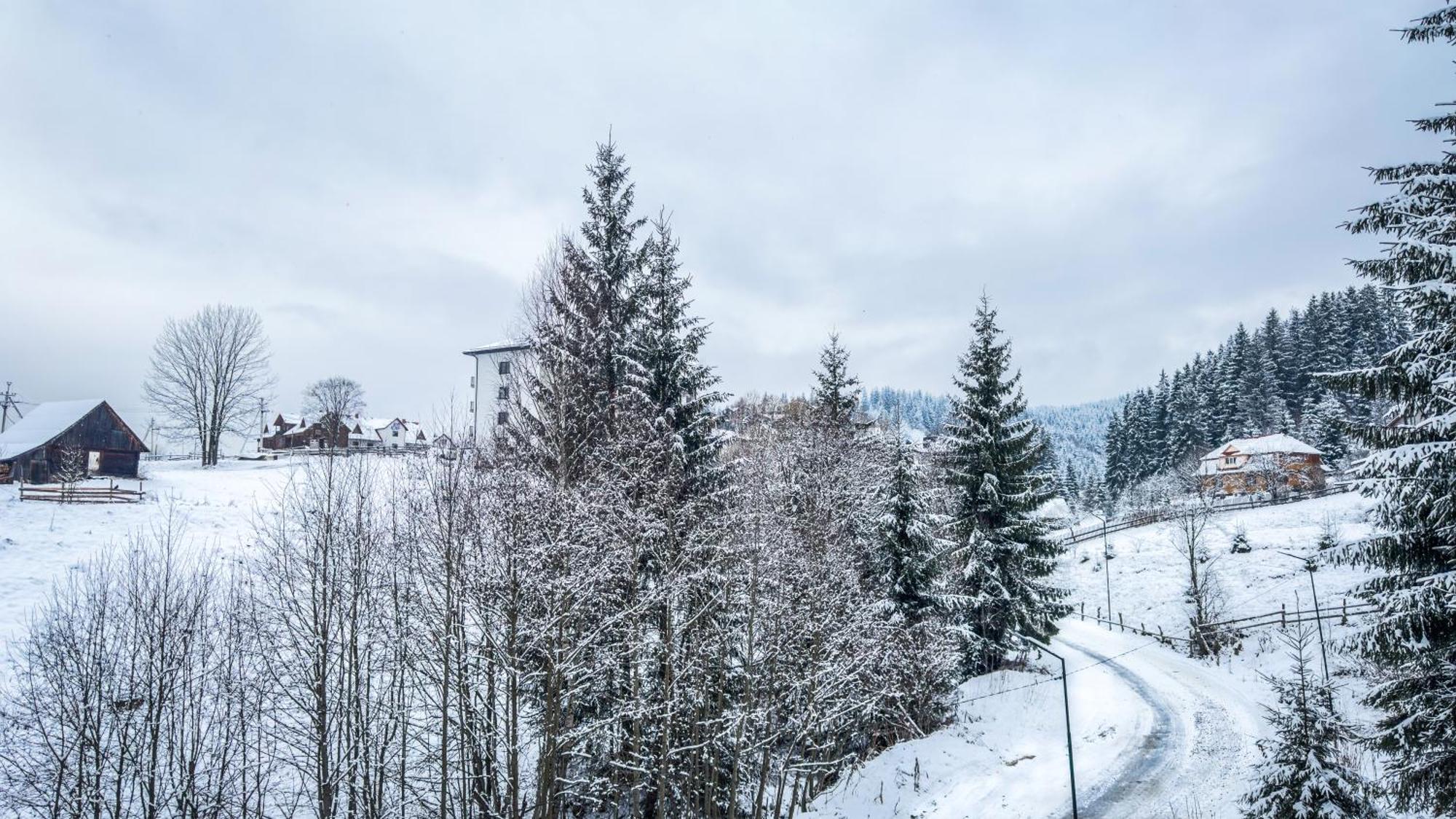 Hotel Lion Bukovel Habitación foto